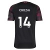 Fotballtrøye Liverpool Chiesa 14 Tredjedrakt 2026-27 Kortermet Fotballtrøye Liverpool Chiesa 14 Tredjedrakt 2026-27 Kortermet